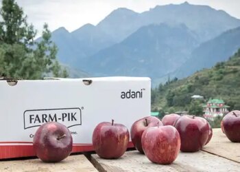 After apple, Adani Agri Fresh will purchase cherries in Himachal Pradesh, later purchase of peaches and plums will also start.