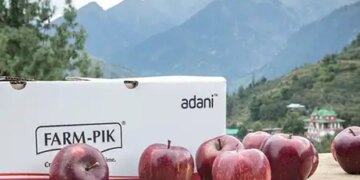 After apple, Adani Agri Fresh will purchase cherries in Himachal Pradesh, later purchase of peaches and plums will also start.