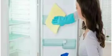 Bad smell coming from the fridge in summer? Clean the refrigerator with vinegar and lemon in minutes, it will shine.