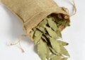 Bay leaf: Along with enhancing taste, it is also a boon for health, know the benefits.