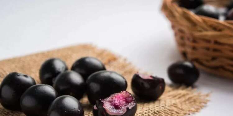 Benefits of Jamun seeds: Effective from blood sugar control to improving digestion.