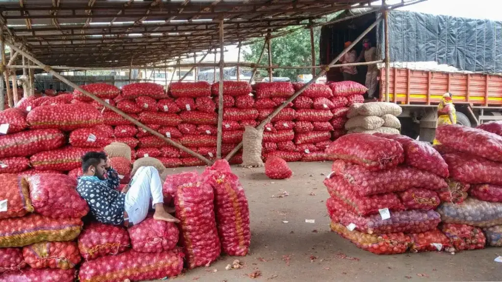Big relief to onion farmers, government will purchase at the rate of Rs 12.35 per kg