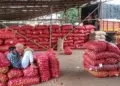 Big relief to onion farmers, government will purchase at the rate of Rs 12.35 per kg