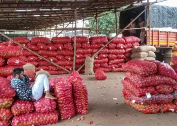 Big relief to onion farmers, government will purchase at the rate of Rs 12.35 per kg