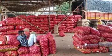 Big relief to onion farmers, government will purchase at the rate of Rs 12.35 per kg