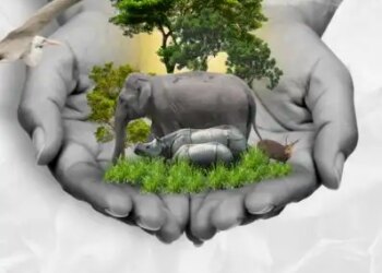 सीएम हिमंत बिस्वा सरमा बोले- जंगलों को अतिक्रमण से मुक्त कराने और जीरो पोचिंग के लिए प्रतिबद्ध है असम सरकार