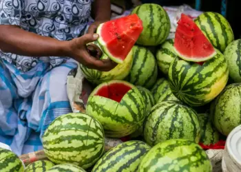 Can red and sweet watermelon be dangerous? FSSAI told the real thing on the injection claim