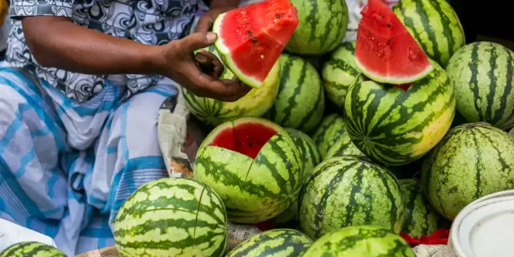 Can red and sweet watermelon be dangerous? FSSAI told the real thing on the injection claim