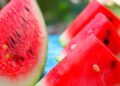 Chhattisgarh Watermelon Death Case. Chhattisgarh News|Watermelon Poisoning | Chhattisgarh: Watermelon becomes 'poison'! 15 year old teenager dies, 3 children fall ill, one small mistake is costly. News Track in Hindi