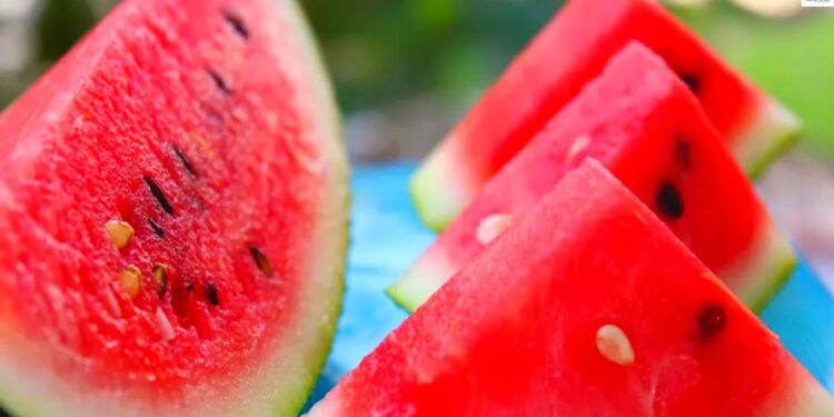 Chhattisgarh Watermelon Death Case. Chhattisgarh News|Watermelon Poisoning | Chhattisgarh: Watermelon becomes 'poison'! 15 year old teenager dies, 3 children fall ill, one small mistake is costly. News Track in Hindi