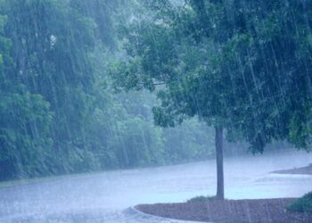 Chhattisgarh weather update. monsoon in Chhattisgarh Chhattisgarh heat wave Chhattisgarh news | Chhattisgarh Weather: When will we get relief from the scorching heat? New update on Chhattisgarh monsoon. News Track in Hindi