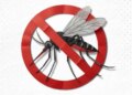 'Community efforts are most important to defeat dengue,' Nadda appeals to people for participation