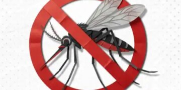 'Community efforts are most important to defeat dengue,' Nadda appeals to people for participation
