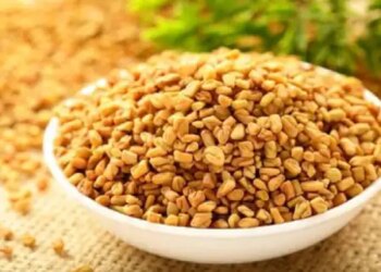 Consume fenugreek seeds in summer, know what Ayurveda says