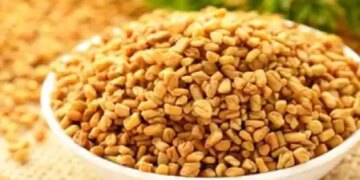 Consume fenugreek seeds in summer, know what Ayurveda says