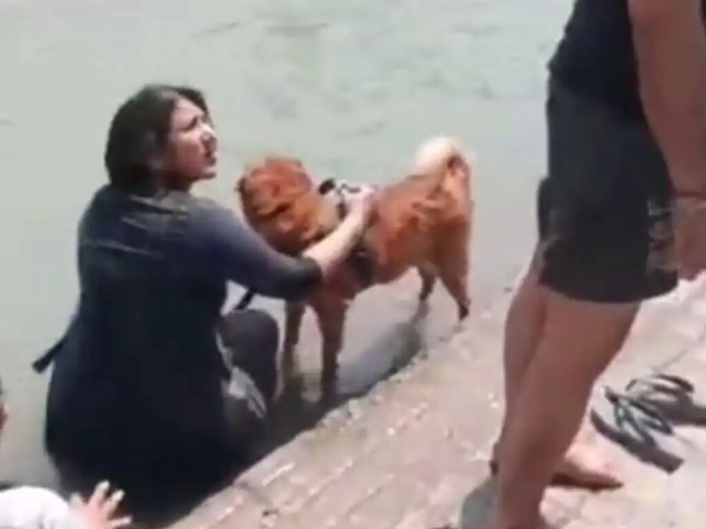 Controversy over Haridwar's Ganga Ghat! People got angry at the woman who came to bathe the dog, social media got angry after seeing the VIDEO