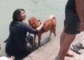 Controversy over Haridwar's Ganga Ghat! People got angry at the woman who came to bathe the dog, social media got angry after seeing the VIDEO