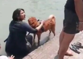 Controversy over Haridwar's Ganga Ghat! People got angry at the woman who came to bathe the dog, social media got angry after seeing the VIDEO