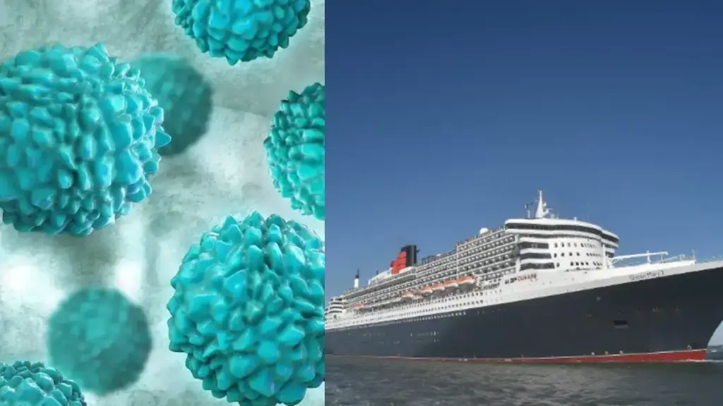 Cruise Ship Virus Outbreak: Norovirus creates panic, 115 people suddenly fall ill, panic