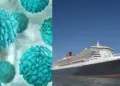 Cruise Ship Virus Outbreak: Norovirus creates panic, 115 people suddenly fall ill, panic