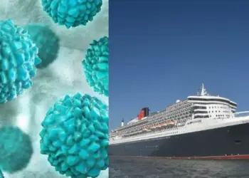 Cruise Ship Virus Outbreak: Norovirus creates panic, 115 people suddenly fall ill, panic