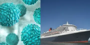 Cruise Ship Virus Outbreak: Norovirus creates panic, 115 people suddenly fall ill, panic