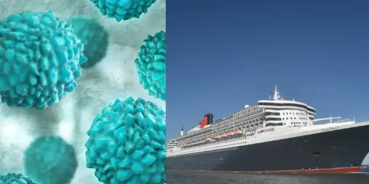 Cruise Ship Virus Outbreak: Norovirus creates panic, 115 people suddenly fall ill, panic