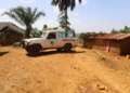 Danger of Ebola increases in DRC, Health Minister said - it may take several months to stop the infection