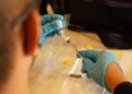 Deaths due to C-section in Kota: Action against pharmaceutical company, expert said - oxytocin is not the cause of death.