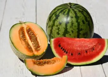 Do not eat these things even by mistake with watermelon and melon, digestion may get spoiled.