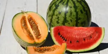 Do not eat these things even by mistake with watermelon and melon, digestion may get spoiled.