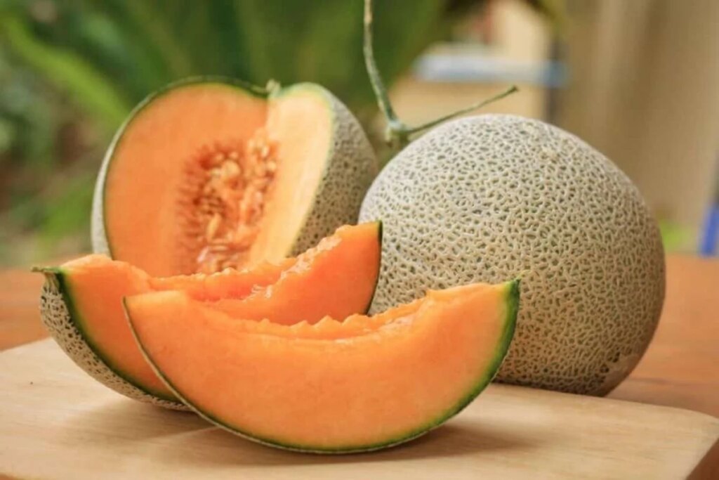 Do not make these mistakes while eating melon in summer, digestion may get spoiled