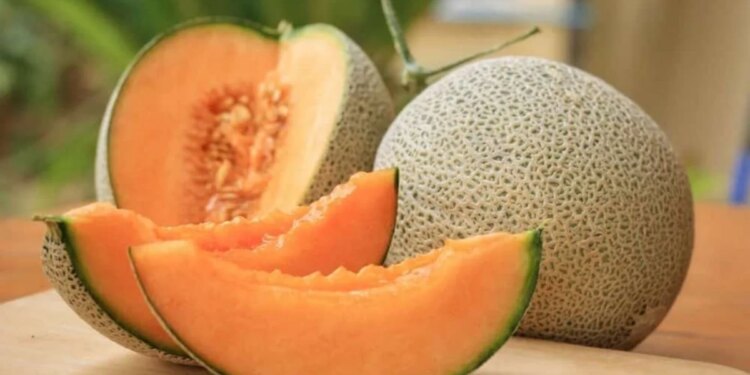 Do not make these mistakes while eating melon in summer, digestion may get spoiled