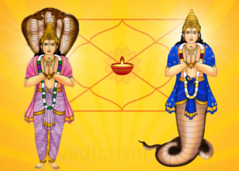 Effect of Rahu: How does it affect thinking, career and mental state? Know the auspicious and inauspicious signs and solutions