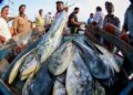 European Union includes India in the revised draft list, will help in continuing export of fishery products