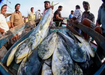 European Union includes India in the revised draft list, will help in continuing export of fishery products