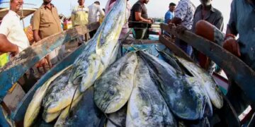 European Union includes India in the revised draft list, will help in continuing export of fishery products