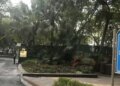 Eviction from Delhi Gymkhana Club: Congress raised questions, BJP countered