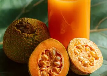 From skin to digestion, vine is the solution to every problem.