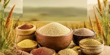 From weight control to bone strength, 'Shri Anna' is the powerhouse of nutrients, consume it like this in summers.