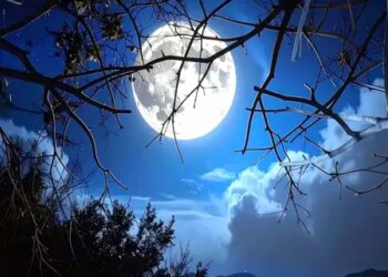 Full-moon on May 31: Take the best photo of the moon from your mobile, NASA shares photography tips