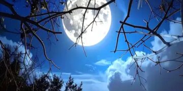 Full-moon on May 31: Take the best photo of the moon from your mobile, NASA shares photography tips