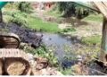 Garhwa Saraswati River Cleaning Campaign: Public and Officials Unite to Save River in Jharkhand | Jharkhand News: Joint campaign of public and administration to save Saraswatia river in Garhwa. News Track in Hindi