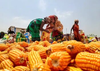 Government is bearing the burden of rise in global fertilizer prices: Goyal