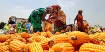 Government is bearing the burden of rise in global fertilizer prices: Goyal