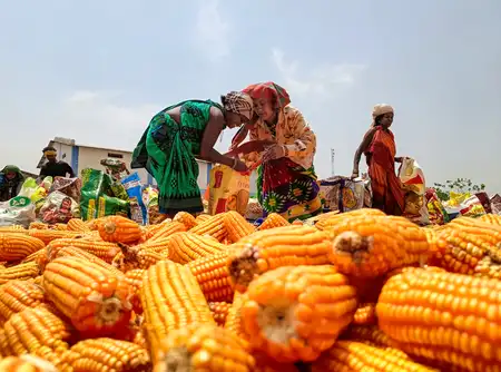 Government is bearing the burden of rise in global fertilizer prices: Goyal