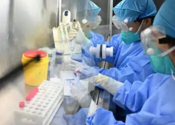 Hanta virus crisis: Dangerous infectious disease declared in Thailand, 42 days strict quarantine implemented
