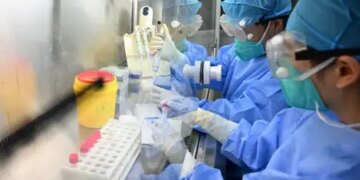 Hanta virus crisis: Dangerous infectious disease declared in Thailand, 42 days strict quarantine implemented