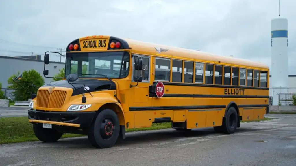 Have you ever wondered why the color of a school bus is yellow? Knowing the reason, you will also say – “This is a very smart thinking!”