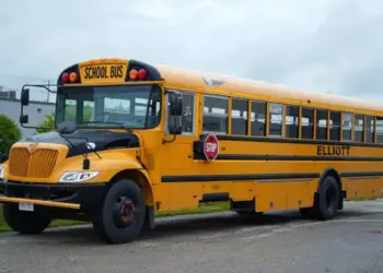 Have you ever wondered why the color of a school bus is yellow? Knowing the reason, you will also say – “This is a very smart thinking!”